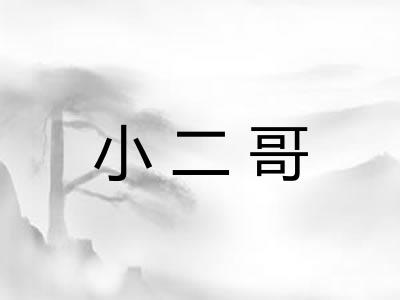 小二哥