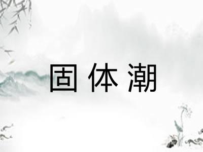 固体潮 固体潮