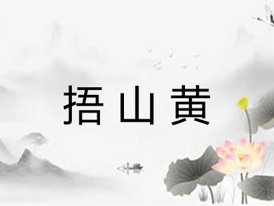 捂山黄 捂山黄