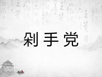 剁手党