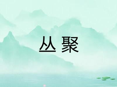 丛聚 丛聚