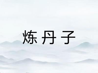 炼丹子