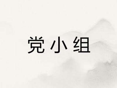 党小组