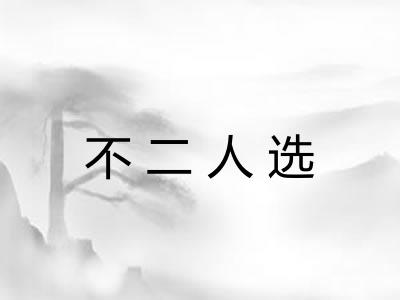 不二人选