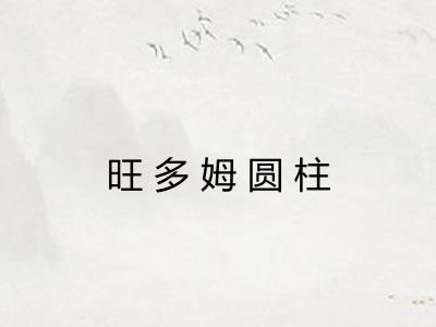 旺多姆圆柱 旺多姆圆柱