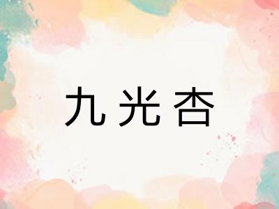 九光杏