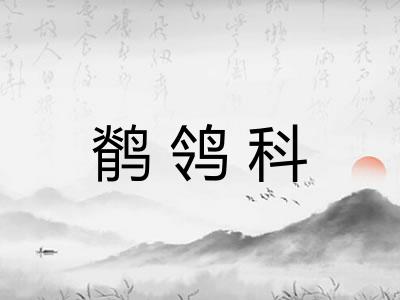 鹡鸰科