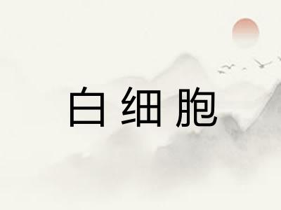白细胞