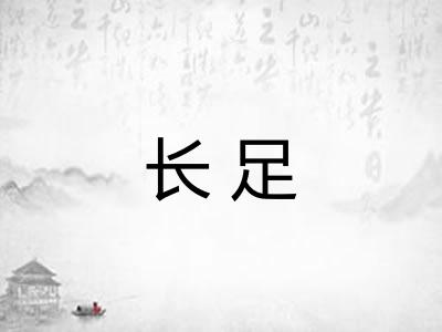 长足