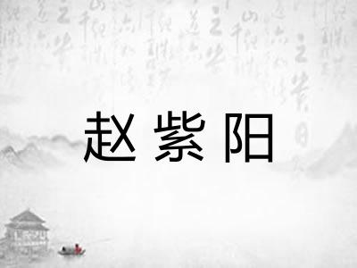 赵紫阳