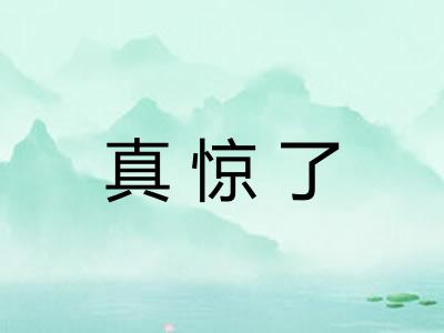 真惊了 真惊了
