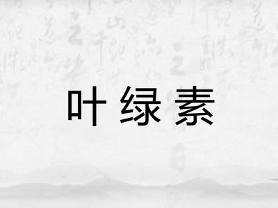 叶绿素