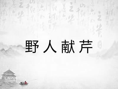 野人献芹