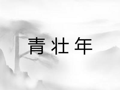 青壮年 青壮年