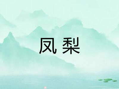 凤梨