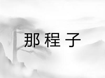那程子 那程子