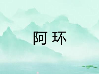 阿环