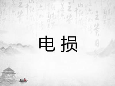 电损