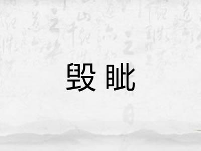 毁眦