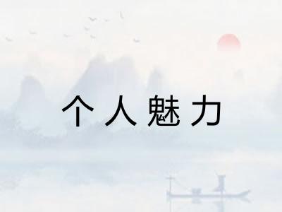 个人魅力 个人魅力