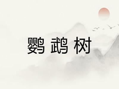 鹦鹉树