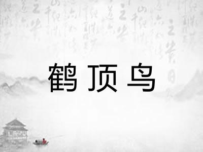 鹤顶鸟 鹤顶鸟