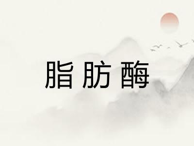 脂肪酶