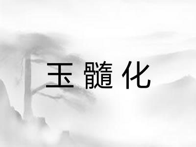 玉髓化