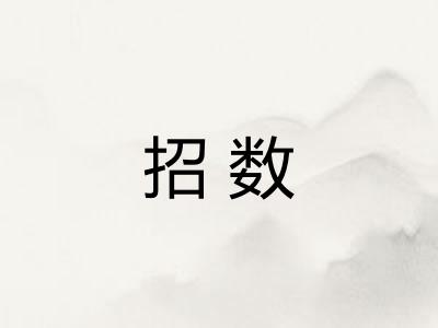 招数 招数