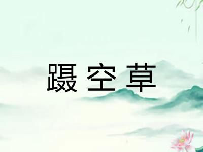蹑空草 蹑空草