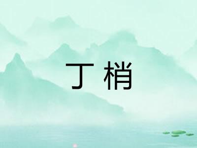 丁梢