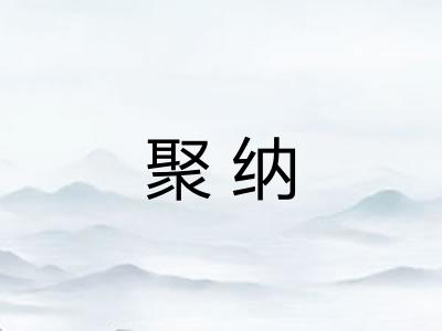 聚纳