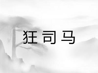 狂司马