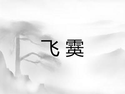 飞霙