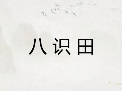 八识田