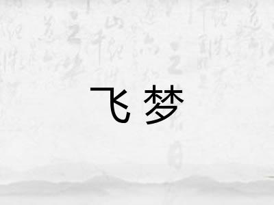 飞梦 飞梦