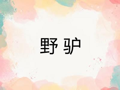 野驴