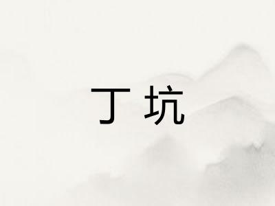 丁坑