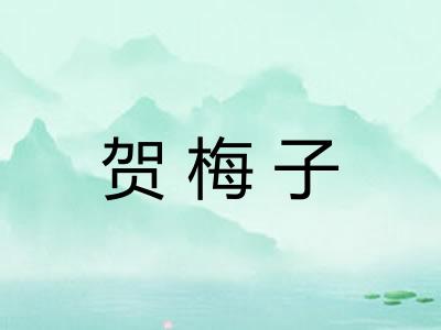 贺梅子