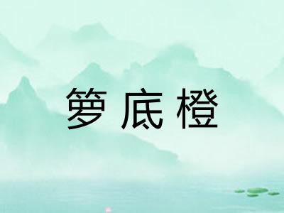 箩底橙