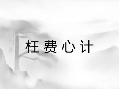 枉费心计 枉费心计