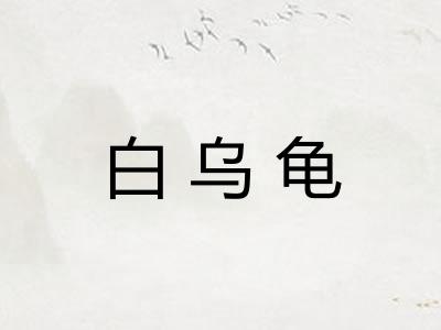白乌龟