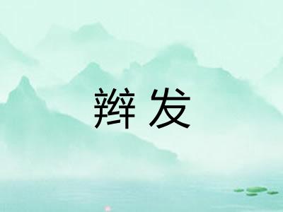 辫发