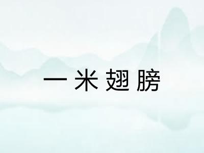 一米翅膀 一米翅膀