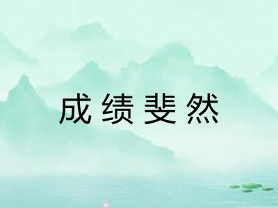 成绩斐然