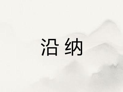 沿纳 沿纳