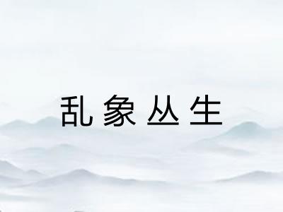 乱象丛生