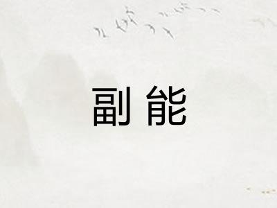 副能
