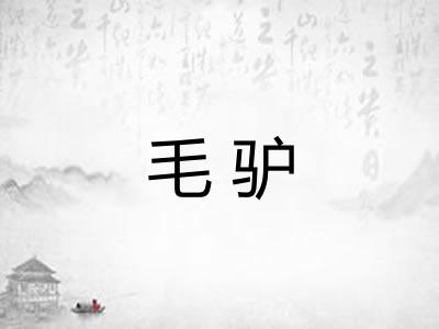 毛驴 毛驴