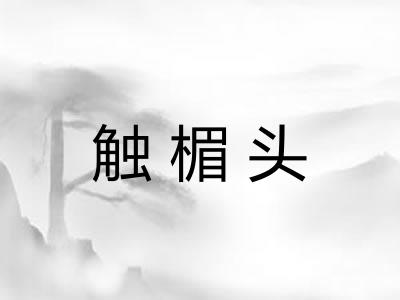 触楣头